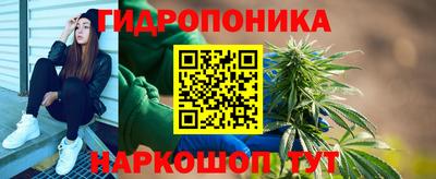 спиды Заволжье