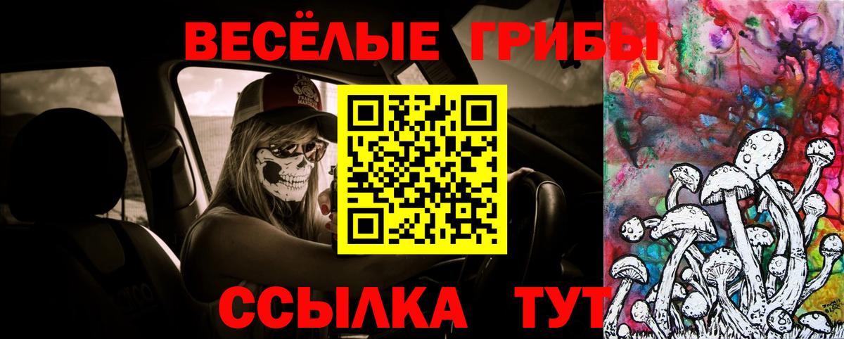 Галлюциногенные грибы Magic Shrooms Новоалександровск