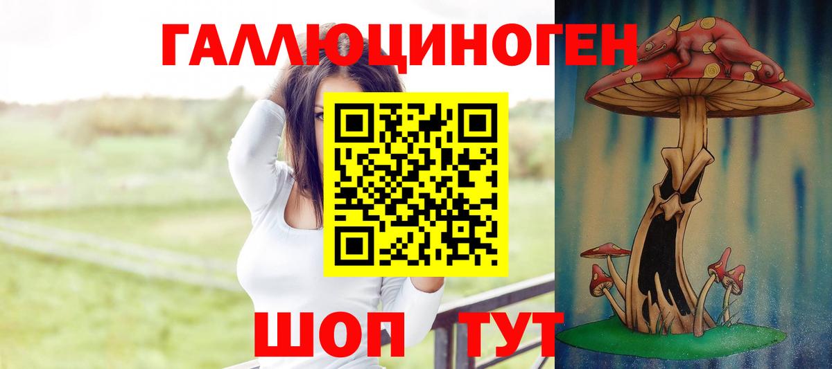 Галлюциногенные грибы Psilocybe  Галлюциногенные грибы MAGIC MUSHROOMS  Вход с VPN  наркотики  Новоалександровск 