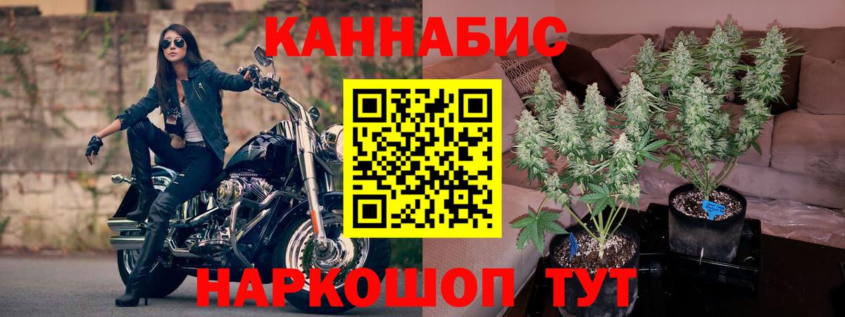 Марихуана тримм Новоалександровск